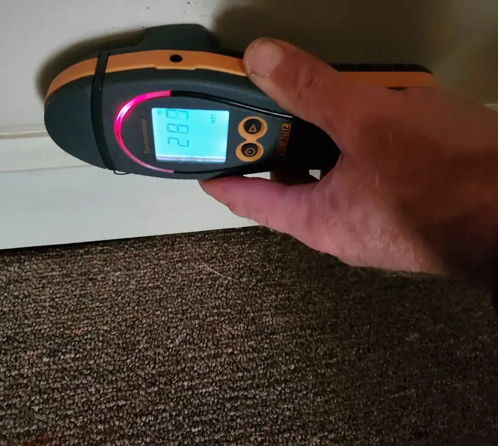 Moisture detection at baseboard during Mold Inspection & Testing in Springfield
